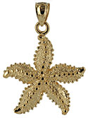 textured starfish with star fish nubbies