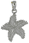 white gold starfish jewelry