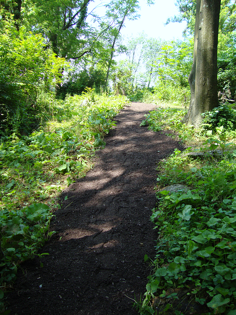 Therapeutic sensory trail - Enchanted Forest