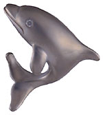 Echo the 14kt white gold leaping dolphin