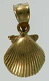 gold scallop shell jewelry
