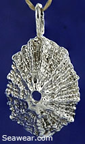 argentium silver limpit shell pendant