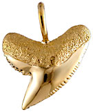 solid gold tiger shark tooth jewelry