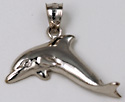 14kt white gold dolphin jewelry necklace pendant