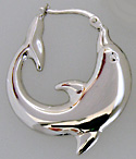 14kt white gold puffed dolphin earrings in three sizes