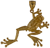 14kt polished tree frog pendant with great big eyes