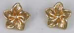 14k Hawaii plumeria earrings