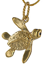 3D swimming sea turtle
