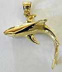 tiger shark jewelry charm