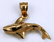 small baby 14kt shark in 3D