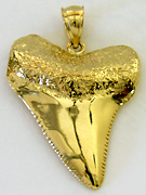 great white shark tooth in gold
