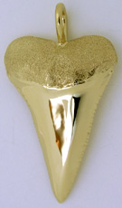 14kt greath white shark teeth necklace