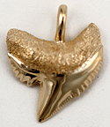14kt tiger shark tooth jewelry pendant