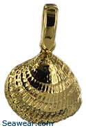 Captiva Island cockle shell necklace jewelry pendant
