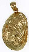 large gold abalone shell pendant