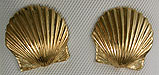 14k scallop shell earrings