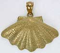 scallop fan sea shell jewelry