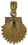 14kt small square edged scallop shell