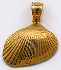 14kt venus cockle shell pendant