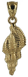 gold triton shell 