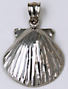 14kt white gold scallop shell pendant