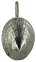 14kt white gold Chinese Hat sea shell from the Stuart FL collection